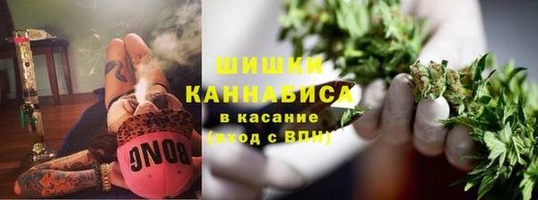 дмт Богородск