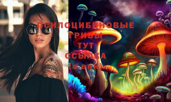метамфетамин Богородицк