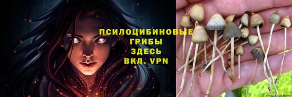 кокаин Богданович